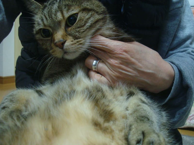 Dsc00796 Dsc00796
