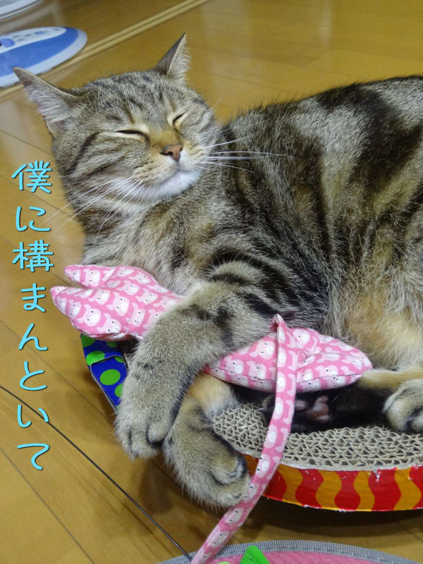 Dsc009311_2 Dsc009311_2