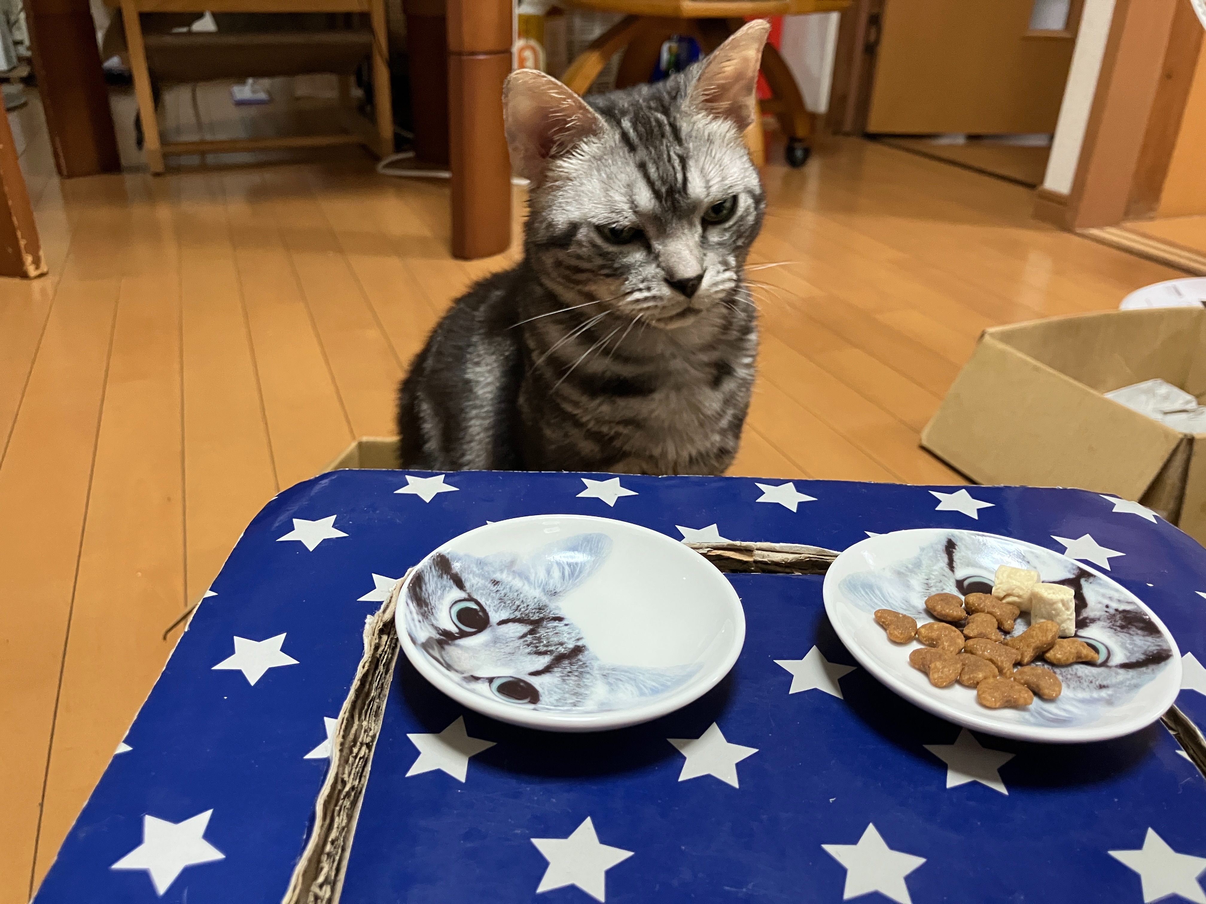 f:id:s-amesyo:20250910175125j:image f:id:s-amesyo:20250910175125j:image