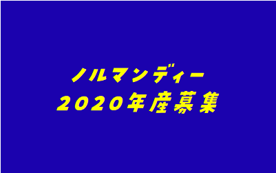 ノルマンディー2020年産１次募集検討 ３ 兄姉馬 40口 牡馬編 しらべるとのブログ
