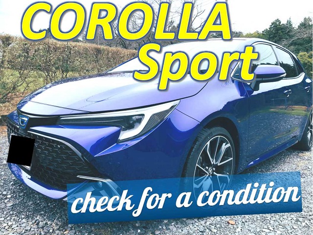 トヨタ カローラスポーツ ボディケア レザー・アルミホイール