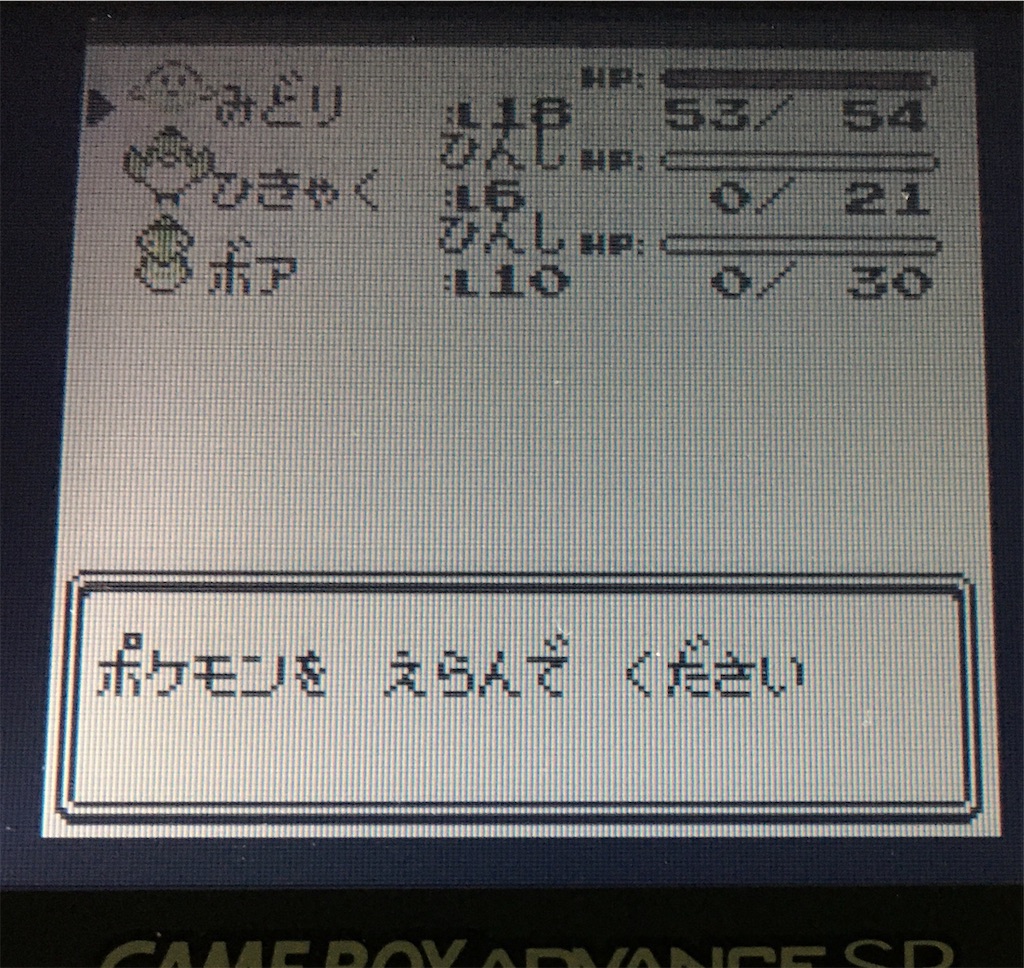 ポケモン初代 最少戦闘回数 ポケセン 買い物禁止etc 縛りプレイ 行き止まりの洞窟