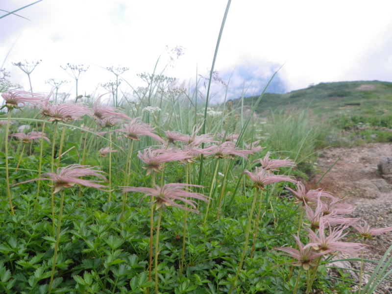 f:id:s-field0808:20100818111414j:image