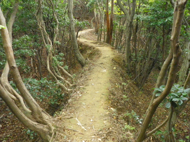 f:id:s-field0808:20101107110012j:image f:id:s-field0808:20101107110012j:image