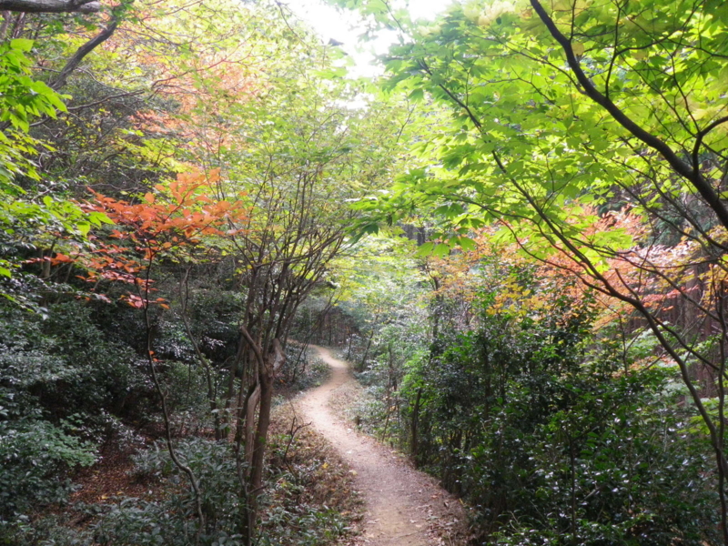 f:id:s-field0808:20101107111527j:image f:id:s-field0808:20101107111527j:image