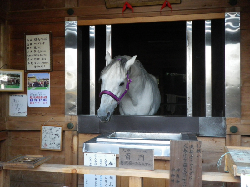 f:id:s-field0808:20101107134049j:image f:id:s-field0808:20101107134049j:image