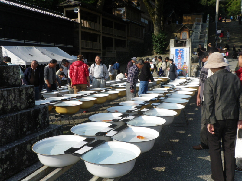 f:id:s-field0808:20101107134411j:image f:id:s-field0808:20101107134411j:image