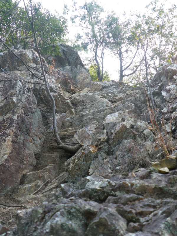 f:id:s-field0808:20110330095214j:image