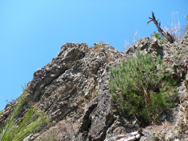 f:id:s-field0808:20110406113329j:image
