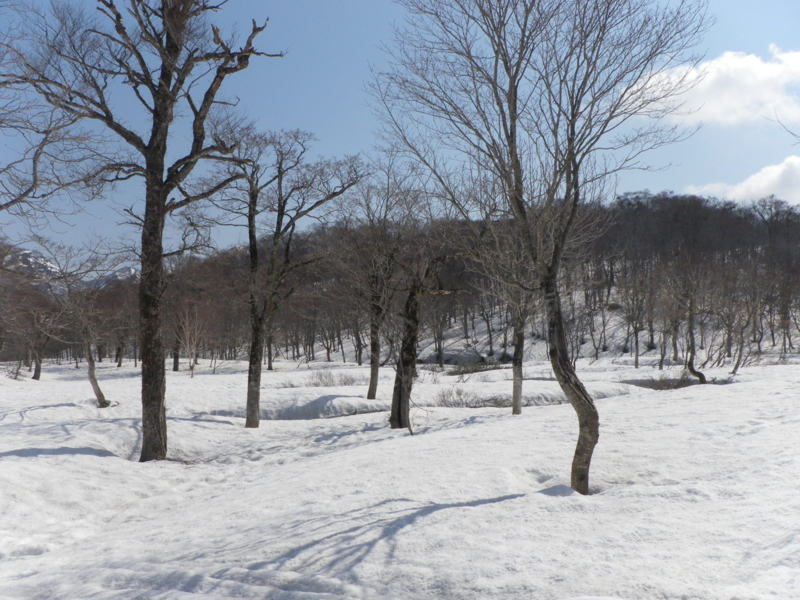 f:id:s-field0808:20110421091937j:image:w640