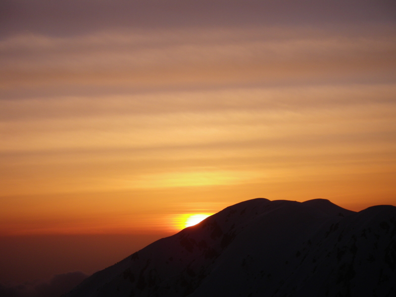 f:id:s-field0808:20110504154802j:image:w640