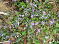 f:id:s-field0808:20110506183443j:image:medium