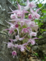 f:id:s-field0808:20110506183805j:image:medium