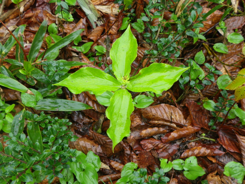 f:id:s-field0808:20110601164501j:image:w640 f:id:s-field0808:20110601164501j:image:w640
