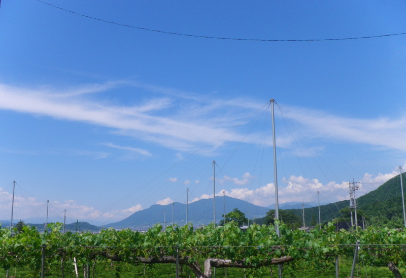 f:id:s-field0808:20110622100936j:image:w640 f:id:s-field0808:20110622100936j:image:w640