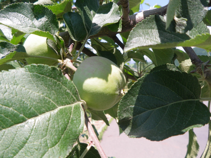 f:id:s-field0808:20110622101441j:image:w640 f:id:s-field0808:20110622101441j:image:w640