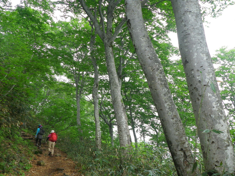 f:id:s-field0808:20110706062321j:image:w640 f:id:s-field0808:20110706062321j:image:w640