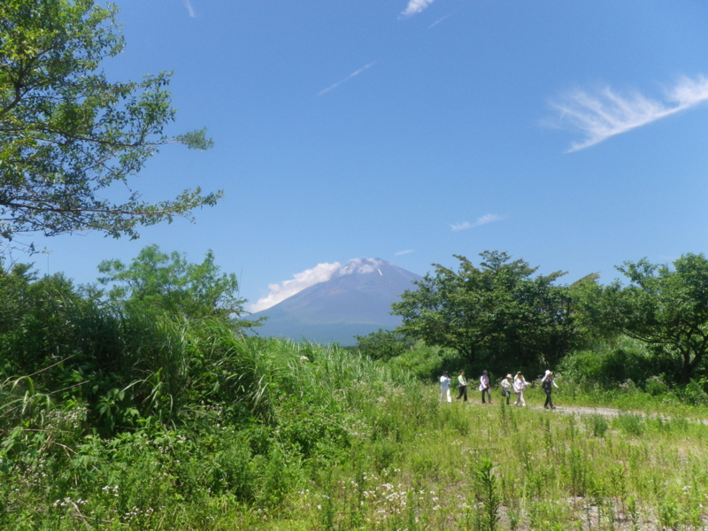 富士山一周 6 旧たまご拾い牧場 忠ちゃん牧場 2011 7 22 登山ガイドの反省会