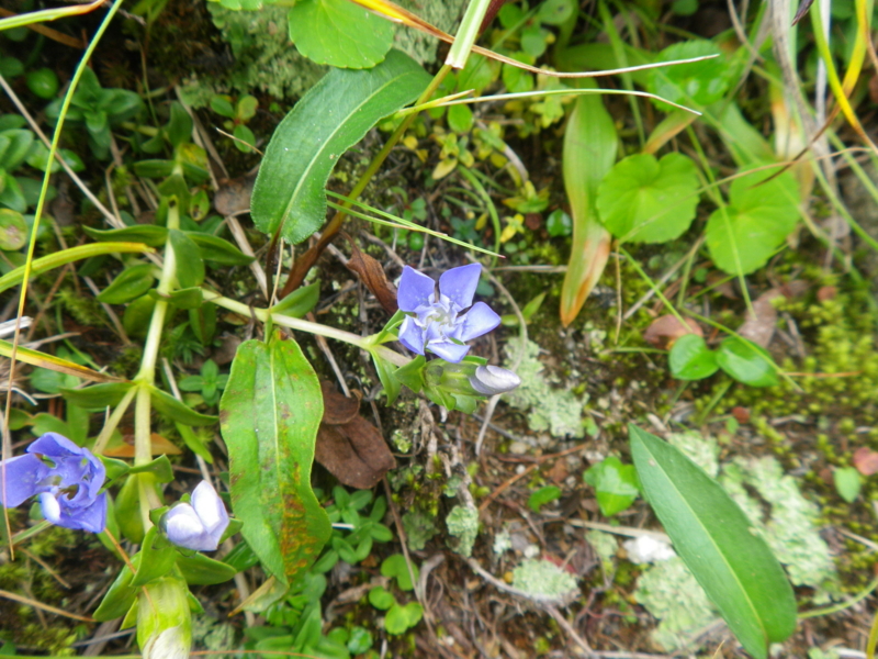 f:id:s-field0808:20110827110756j:image:w640 f:id:s-field0808:20110827110756j:image:w640