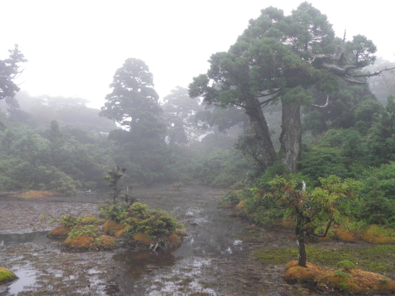f:id:s-field0808:20111103114129j:image:w360 f:id:s-field0808:20111103114129j:image:w360