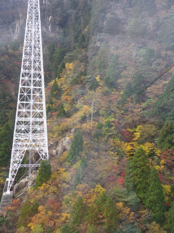 f:id:s-field0808:20111106190843j:image:w360 f:id:s-field0808:20111106190843j:image:w360