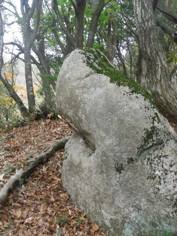 f:id:s-field0808:20111204160549j:image:w360