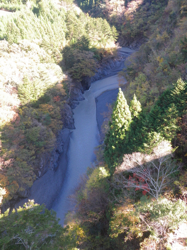 f:id:s-field0808:20111207133831j:image:w360 f:id:s-field0808:20111207133831j:image:w360