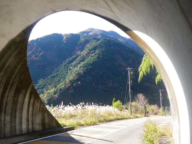 f:id:s-field0808:20111207134407j:image:w360 f:id:s-field0808:20111207134407j:image:w360