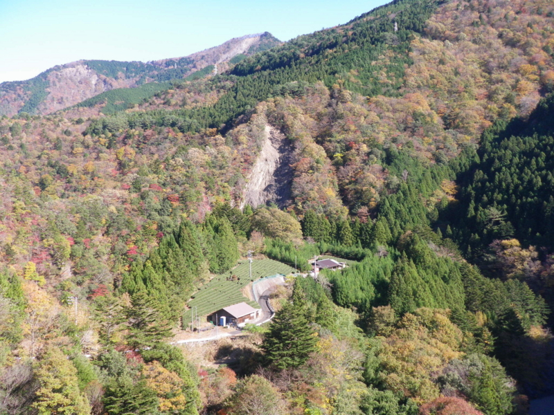f:id:s-field0808:20111207135322j:image:w360 f:id:s-field0808:20111207135322j:image:w360
