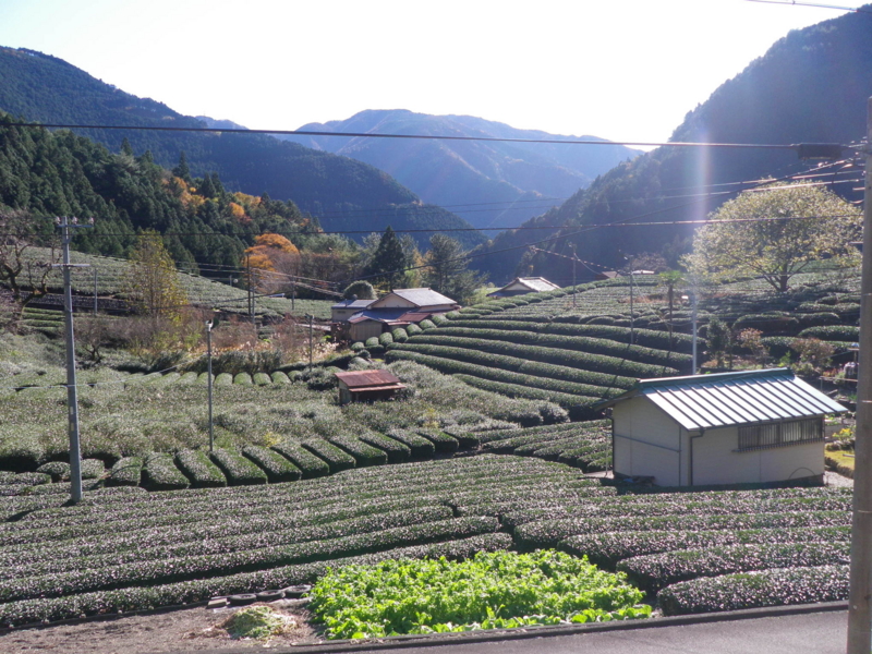 f:id:s-field0808:20111207135547j:image:w360 f:id:s-field0808:20111207135547j:image:w360