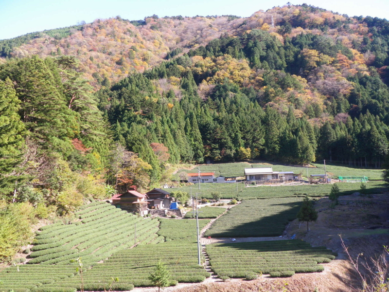 f:id:s-field0808:20111207135551j:image:w360 f:id:s-field0808:20111207135551j:image:w360
