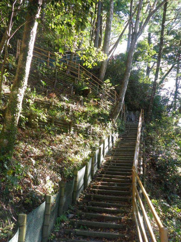 f:id:s-field0808:20111207140202j:image:w360 f:id:s-field0808:20111207140202j:image:w360