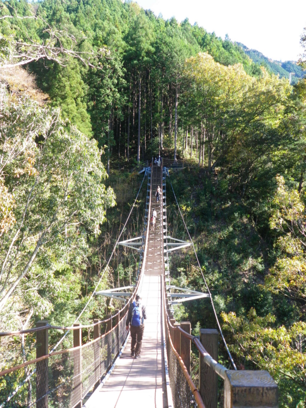 f:id:s-field0808:20111207140406j:image:w360 f:id:s-field0808:20111207140406j:image:w360