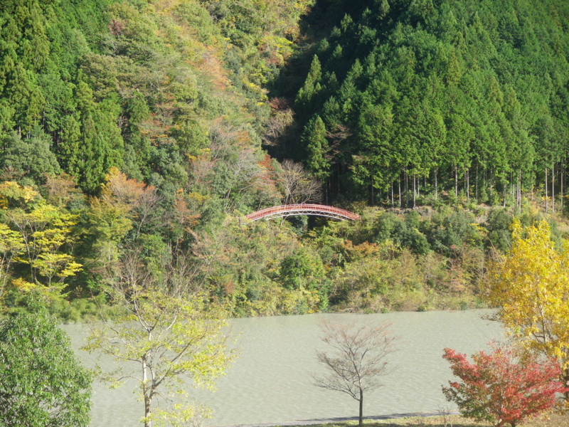 f:id:s-field0808:20111207140921j:image:w360 f:id:s-field0808:20111207140921j:image:w360