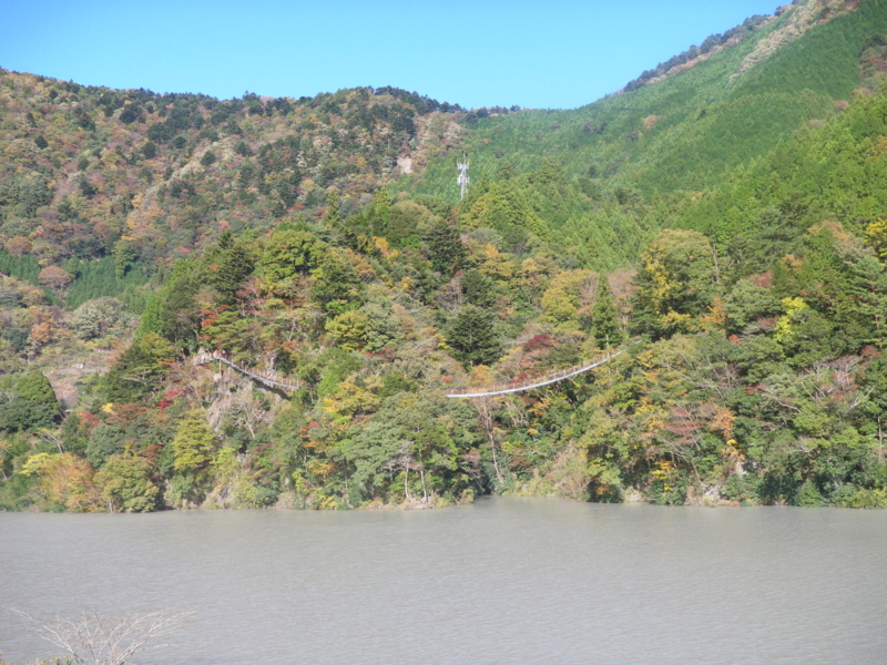 f:id:s-field0808:20111207140925j:image:w360 f:id:s-field0808:20111207140925j:image:w360