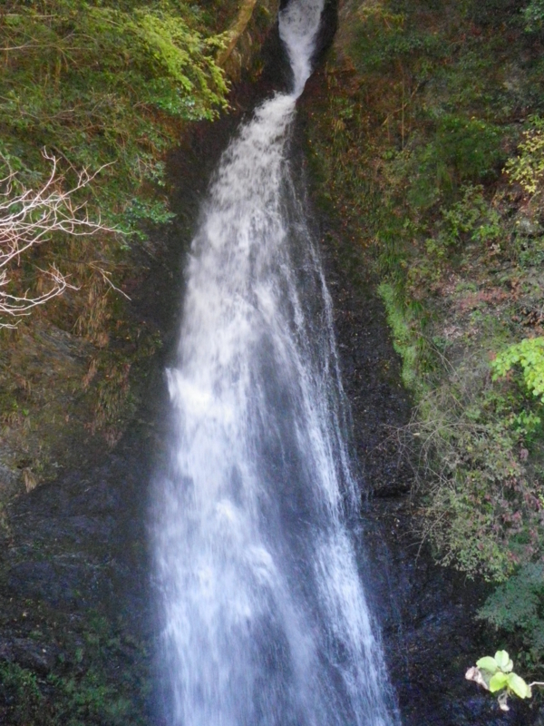 f:id:s-field0808:20111207141728j:image:w360 f:id:s-field0808:20111207141728j:image:w360