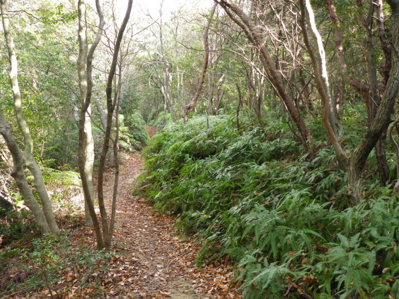 f:id:s-field0808:20120102185842j:image:w360 f:id:s-field0808:20120102185842j:image:w360