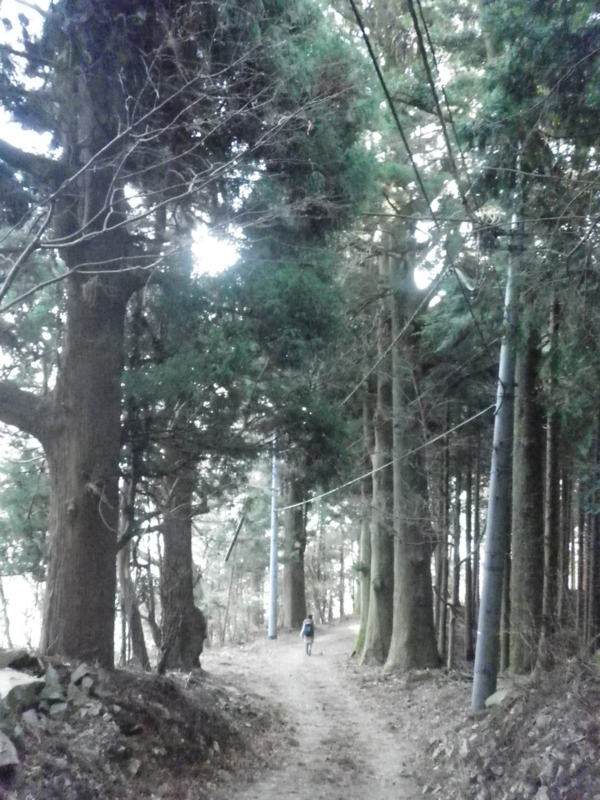 f:id:s-field0808:20120113131650j:image:w360 f:id:s-field0808:20120113131650j:image:w360