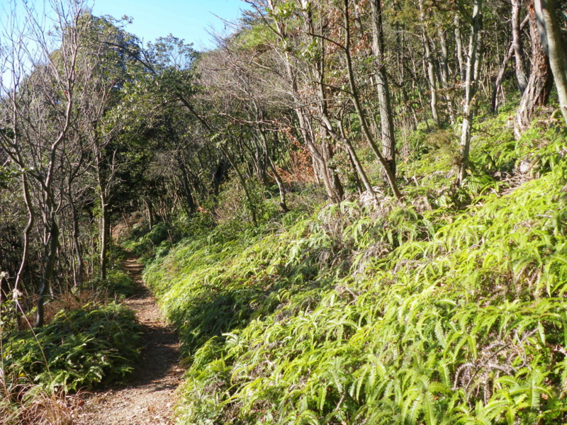f:id:s-field0808:20120118114816j:image:w360 f:id:s-field0808:20120118114816j:image:w360