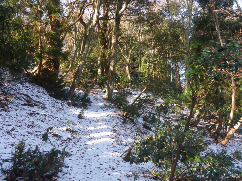 f:id:s-field0808:20120126133736j:image:w360 f:id:s-field0808:20120126133736j:image:w360