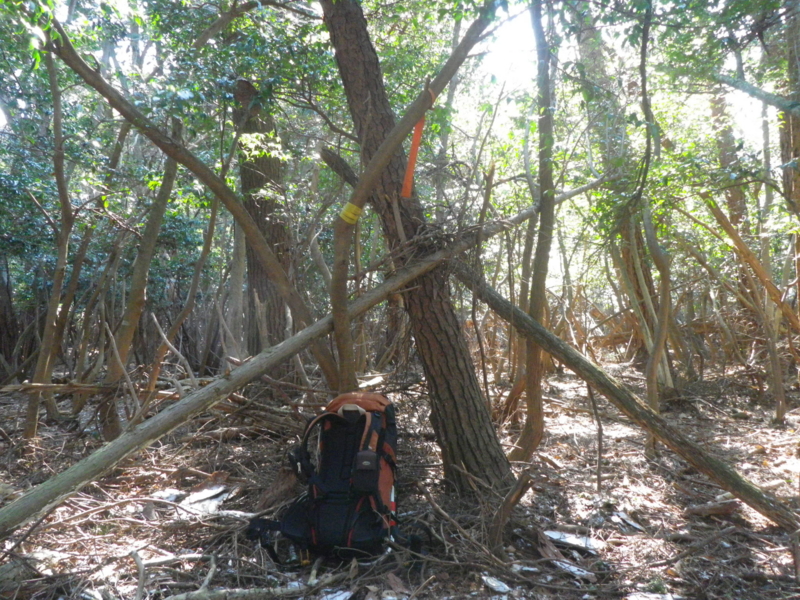f:id:s-field0808:20120126142345j:image:w360 f:id:s-field0808:20120126142345j:image:w360