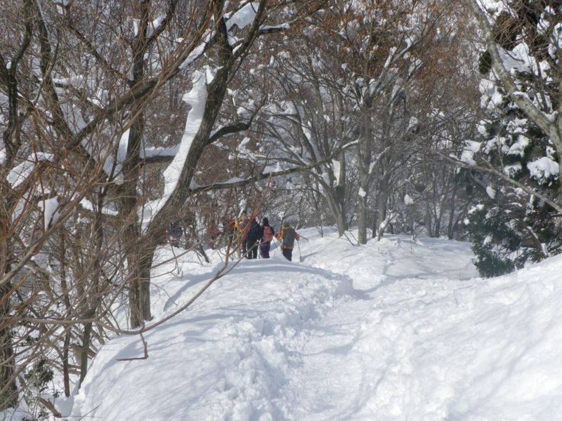 f:id:s-field0808:20120131134458j:image:w360 f:id:s-field0808:20120131134458j:image:w360