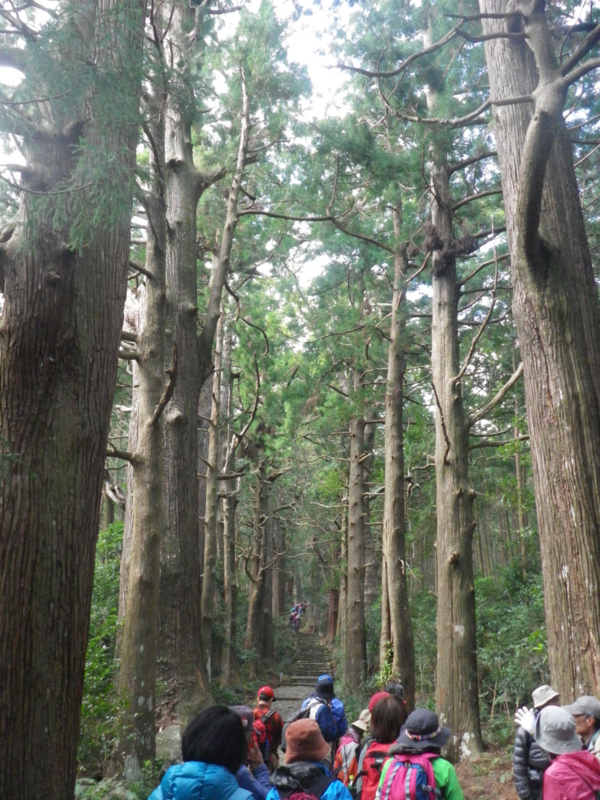 f:id:s-field0808:20120314130829j:image:w360 f:id:s-field0808:20120314130829j:image:w360