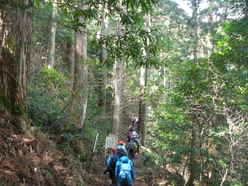 f:id:s-field0808:20120314132052j:image:w360 f:id:s-field0808:20120314132052j:image:w360