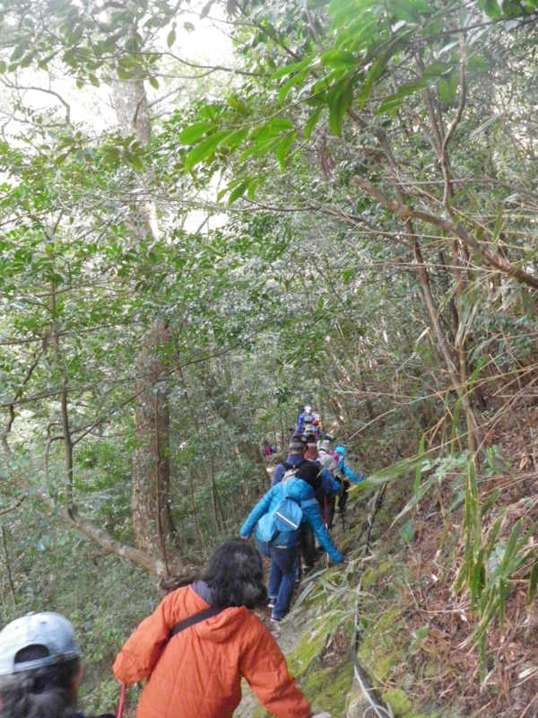 f:id:s-field0808:20120314132430j:image:w360 f:id:s-field0808:20120314132430j:image:w360