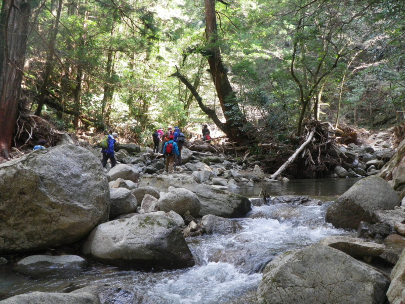 f:id:s-field0808:20120314132724j:image:w360 f:id:s-field0808:20120314132724j:image:w360