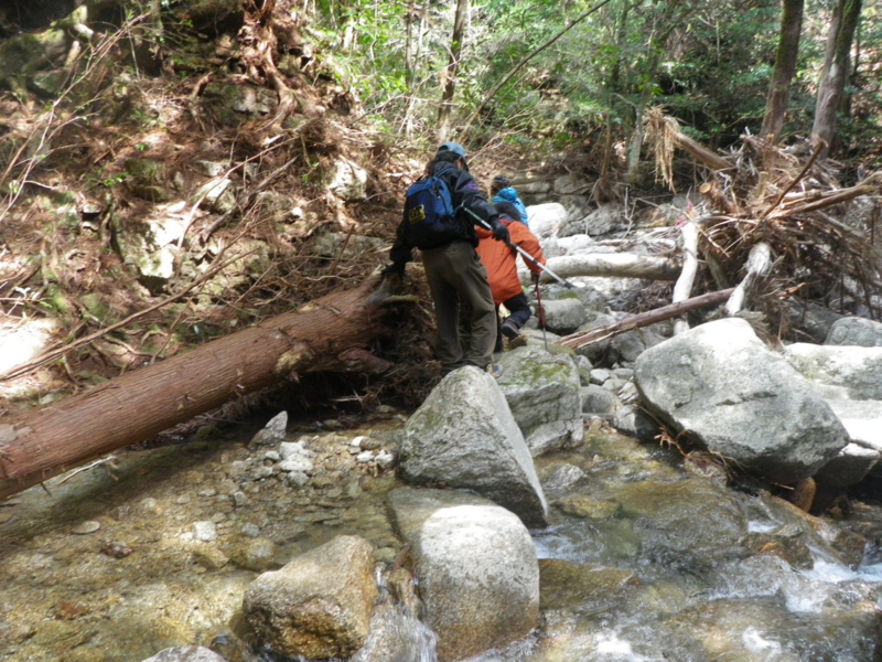 f:id:s-field0808:20120314132728j:image:w360 f:id:s-field0808:20120314132728j:image:w360
