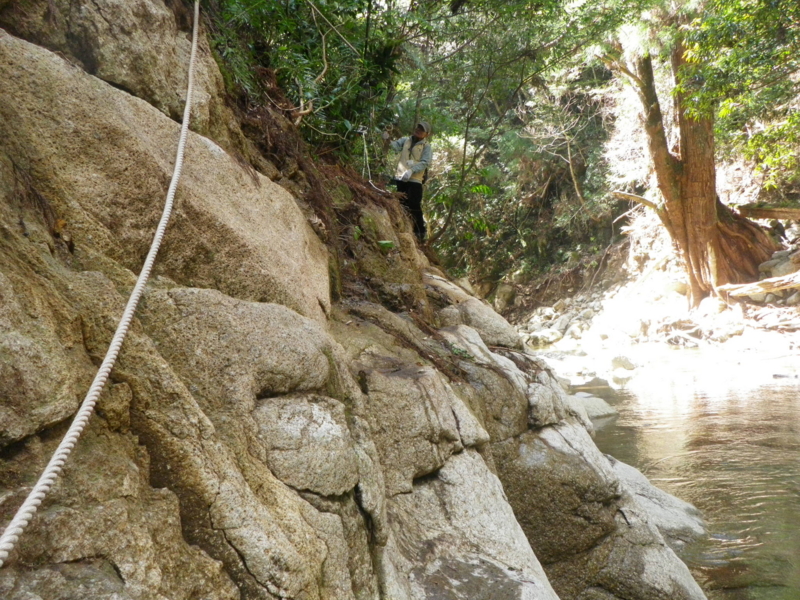 f:id:s-field0808:20120314132837j:image:w360 f:id:s-field0808:20120314132837j:image:w360