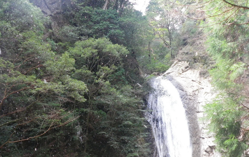 f:id:s-field0808:20120314133306j:image:w360 f:id:s-field0808:20120314133306j:image:w360