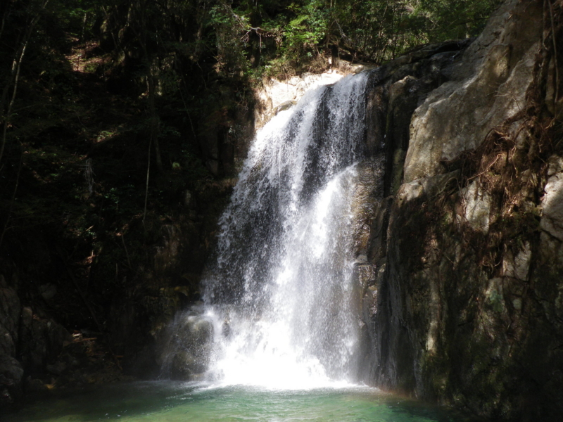 f:id:s-field0808:20120314133433j:image:w360 f:id:s-field0808:20120314133433j:image:w360